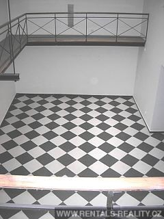 Pic 11
