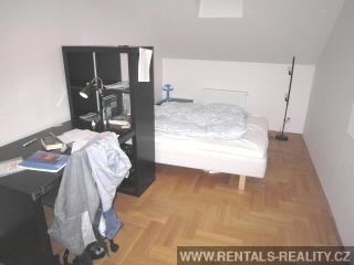 Pic 11