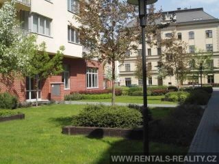 Pic 19