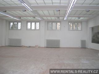 Pic 10