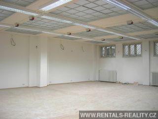 Pic 11
