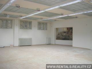 Pic 12