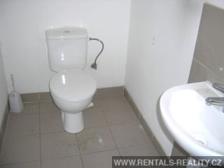 Pic 19