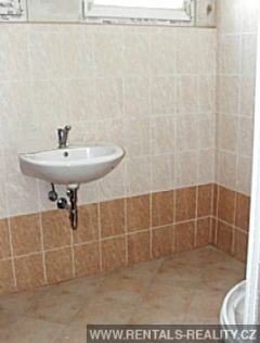 Pic 10