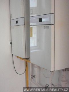 Pic 6