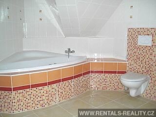 Pic 11