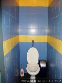 Pic 10