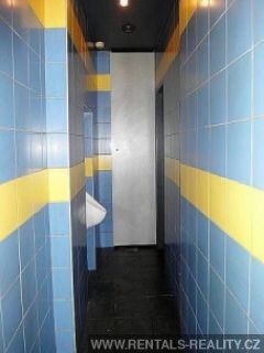 Pic 11