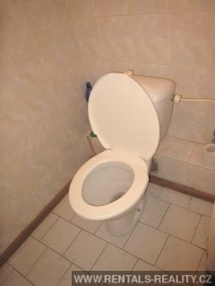 Pic 16