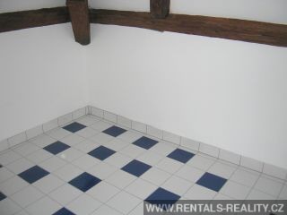 Pic 9