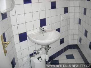 Pic 11