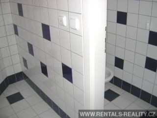 Pic 12