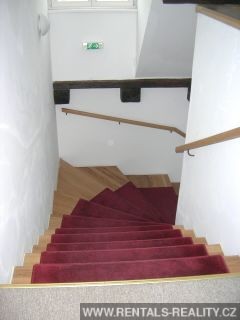 Pic 13