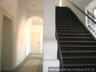 Pic 16