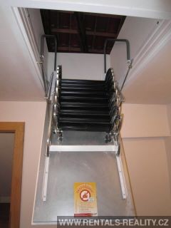 Pic 10
