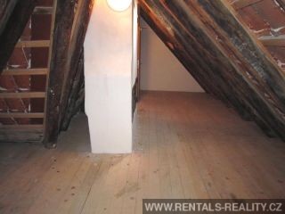 Pic 11