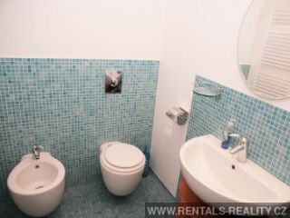 Pic 16