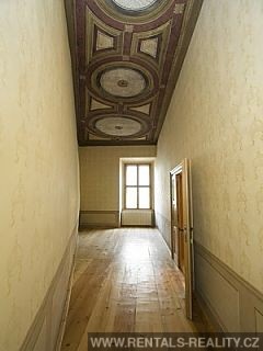 Pic 11