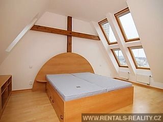 Pic 11