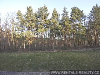 Pic 7