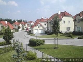 Pic 11
