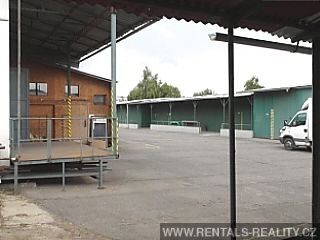 Pic 7