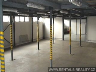 Pic 11
