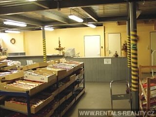 Pic 12