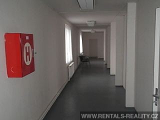 Pic 17