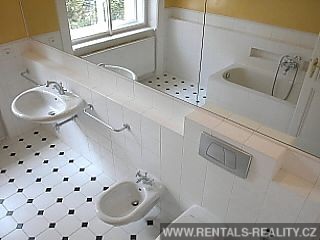 Pic 11
