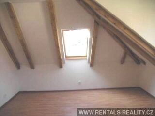 Pic 10