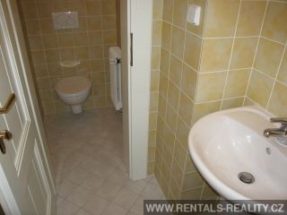 Pic 11
