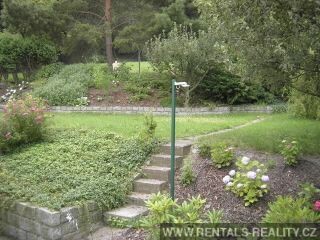 Pic 19