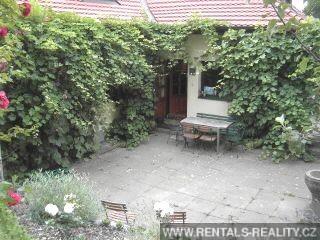 Pic 16