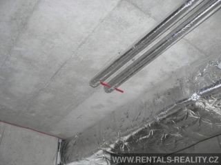 Pic 5