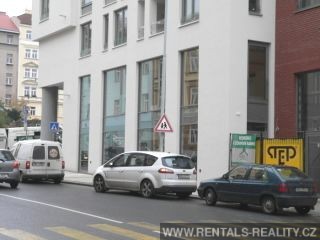 Pic 10