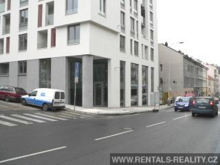 Pic 11