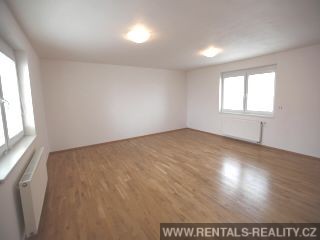 Pic 11