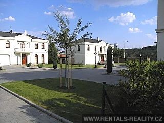 Pic 19