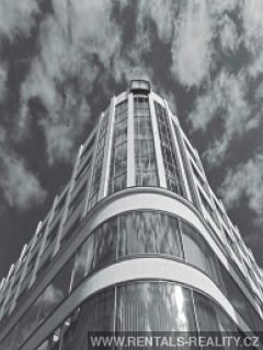Pic 5