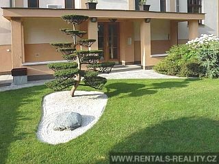Pic 10