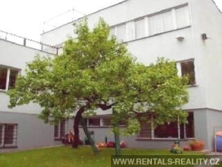 Pic 14