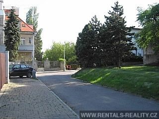 Pic 10