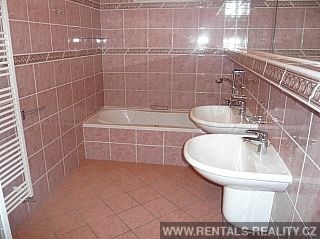 Pic 11
