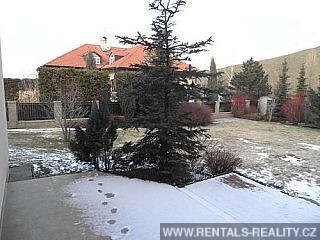 Pic 19