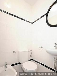 Pic 15