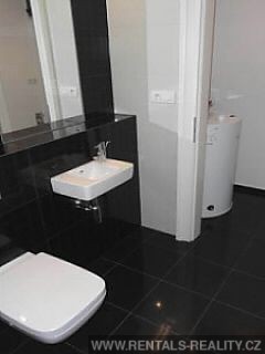 Pic 11
