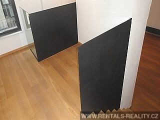 Pic 6