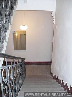 Pic 10