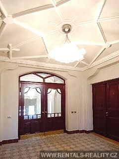 Pic 11